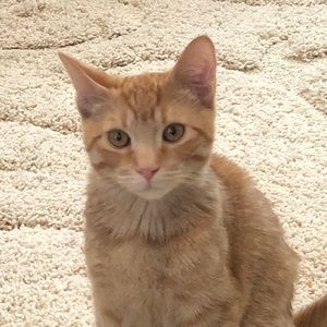 Meet your Posher, Jason